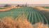 Ag industry leaders have told The Western Producer that oilseed crushers and grain elevator companies have become increasingly frustrated with the council, to the point that a couple of firms have contemplated leaving the organization. | File photo