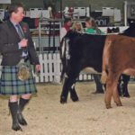 William McLaren of Perth, Scotland, judges the senior showmanship classes at the Farmfair futurity show. He raises about 300 Red and Black Angus and has imported embryos and live cattle from Canada since the 1980s. | Barbara Duckworth photo