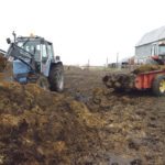 Technology developed by Victoria Ross involves feeding manure to duckweed in an aquaponics system, which produces biogas and a concentrated fertilizer. | File photo