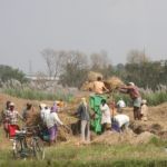India's production of wheat and pulses is expected to jump in 2018 as a hike in the government's assured purchase prices and ample rainfall have prompted farmers to plant more of the winter crops, industry officials told Reuters. | File photo