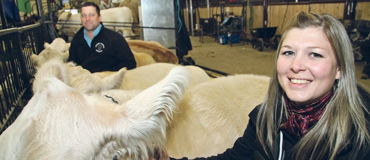 Shawn and Tanya Airey showed four members of their Charolais herd at Manitoba Ag Ex and the National Charolais Show and Sale, held in late October in Brandon. The Aireys are purebred cattle breeders and run HTA Charolais near Rivers, Man. | Robert Arnason photo