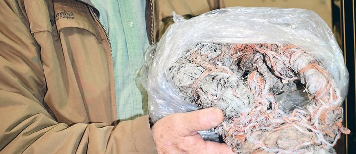 Claresholm, Alta., area rancher Doug Leeds shows a ball of net wrap that he found in the skeleton of a dead cow. Although cattle will eat net wrap, it cannot be digested, and accumulation in the rumen can be fatal. Leeds made a motion at a recent Alberta Beef Producers meeting that the organization support agricultural plastics recycling and spread the word about its dangers to livestock.  |  Barb Glen photo
