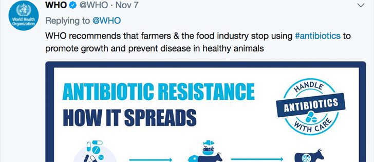 The World Health Organization urged farmers on Tuesday to stop using antibiotics to promote growth and prevent disease in healthy animals because the practice fuels dangerous drug-resistant superbug infections in people. | Screencap via Twitter/@WHO