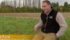 Ed Ford says banning glyphosate would put his farm in Essex, northeast of London, at a competitive disadvantage. | Screencap via Reuters