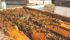 Most veterinarians in Canada don’t have the knowledge or training to write prescriptions for bees, said Rod Scarlett, executive director of the Canadian Honey Council.
| File photo