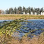 Manitoba introduced legislation yesterday that could fundamentally change how water and wetlands are managed in the province. | File photo