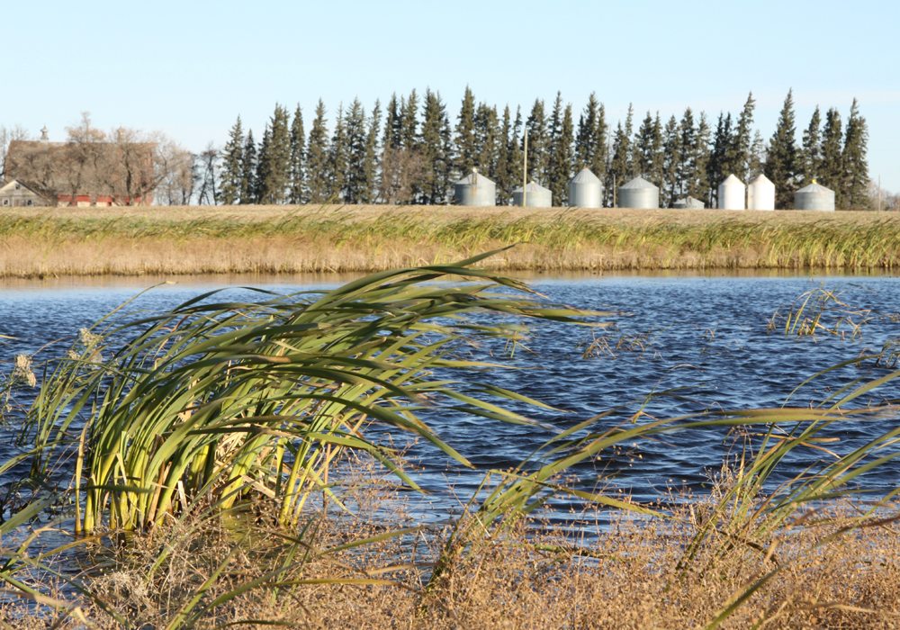 Manitoba introduced legislation yesterday that could fundamentally change how water and wetlands are managed in the province. | File photo