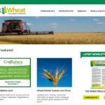 Sask Wheat has elected four directors to serve for the next four years. | Screencap via www.saskwheatcommission.com