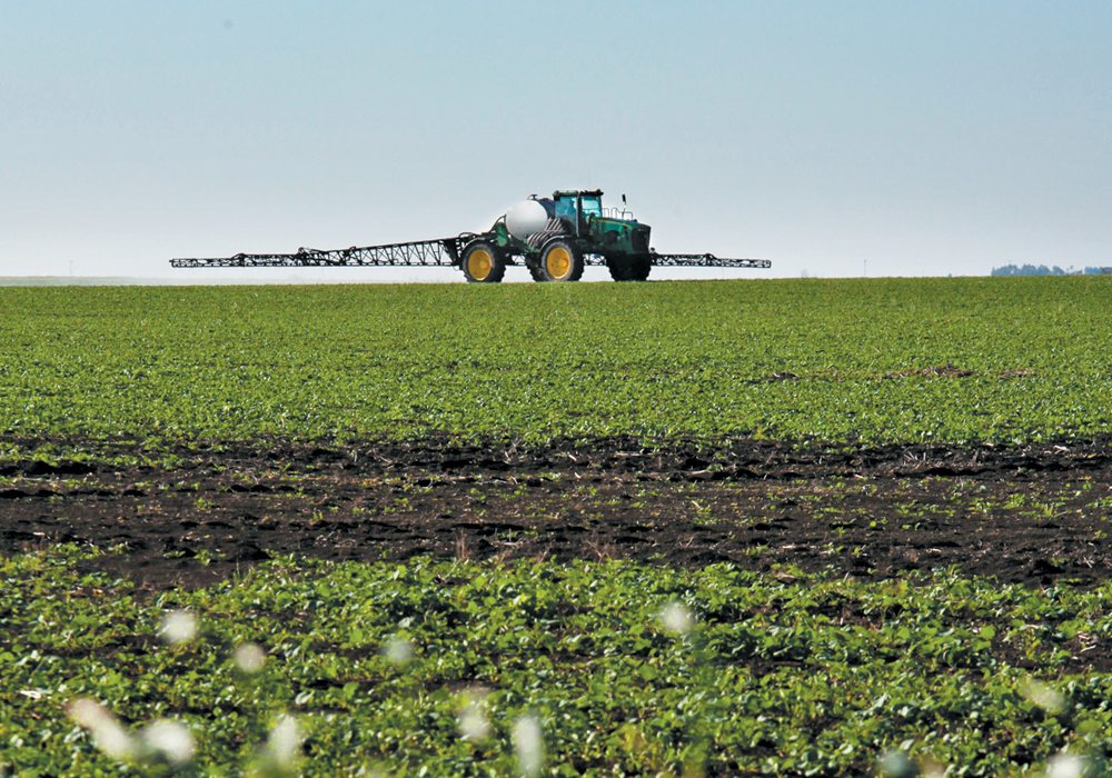 In the lawsuit, filed in federal court in California, Monsanto and groups representing corn, soybeans and wheat farmers reject that glyphosate causes cancer. | File photo