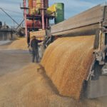 SovEcon forecasts a near-record Russian grain crop in 2018 if weather co-operates. | Reuters photo