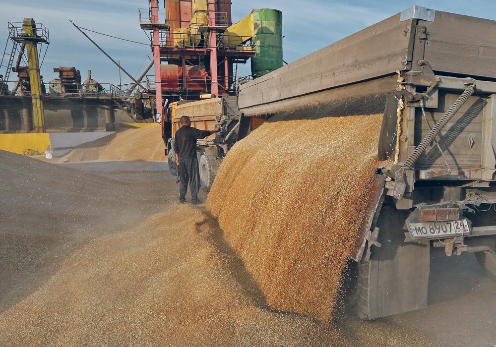 SovEcon forecasts a near-record Russian grain crop in 2018 if weather co-operates.  |  Reuters photo