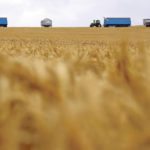 A severe drought has reduced the wheat forecast by six percent and is well below last year’s record 35 million tonnes. | Reuters photo