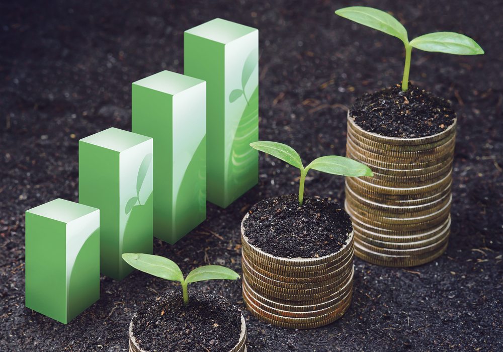 Danny Klinefelter wishes more agricultural economists would help farmers develop and employ leading edge management concepts and practices.  |  Getty photo