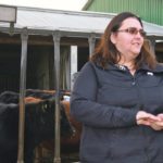 Professor Katie Wood studies ruminant nutrition at the University of Guelph’s research centre in Guelph, Ont. | Barbara Duckworth photo