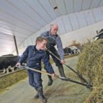 Allister, left, and Lauchie MacEachern work in their Debert, N. S., dairy barn. | Nick Pearce photo