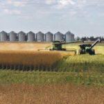 Strong soil moisture reserves made up for a lack of rain, allowing farmers to produce a good sized harvest. | File photo
