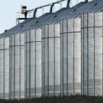In temperatures of 5 C to 11 C it requires 10 days of exposure for the fumigant to work. | File photo