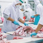 Exports of feeder cattle to the U.S. have been declining because of competitive bidding from Canadian feedlots and packers. | Getty photo