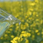 Falling vegetable oil prices due in part to India’s new duty on edible oil imports is one factor contributing to a depressed attitude in the canola market. | File photo