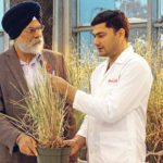 RIGHT: Dr. Rajiv Tripathi and Prof. Jaswinder Singh discuss the interaction of a newly identified protein, TLP8, with beta-glucan and their value in the malting and food industry. | Irfan Iqbal photo