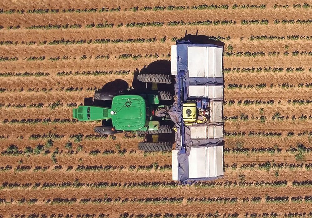 Blue River’s technology is designed to grow John Deere’s approach to plant-selective systems. Machinery will manage individual plants, rather than acres and fields.  |  John Deere photo