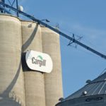 Cargill’s traceability measures include canola, beef and turkeys. | File photo