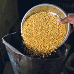 India’s duty on lentil imports comes as the country is awash in the crop. Here, lentils are weighed in a store in the southern Indian city of Chennai. | REUTERS/Babu photo