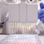 The federal and Saskatchewan governments have contributed $7.7 million to crop-related research projects through the Agriculture Development Fund. | File photo