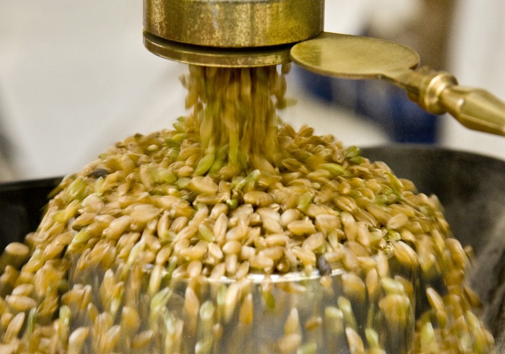 Under the the Italian policy, Canadian durum destined for Italy would need to be segregated and labelled, adding significant costs to processors and end users. | File photo