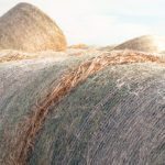 Half the crop could be lost if 70 millimetres of rain were to fall on hay within a day or two of baling. | File photo