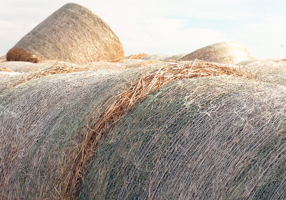 Half the crop could be lost if 70 millimetres of rain were to fall on hay within a day or two of baling. |  File photo