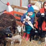 Six-year-old Sam and three-year-old Nicole have taken a shine to their family farm’s new arrivals. | Chris McCullough photo