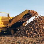 Cashing in on the de-icing business would give sugar beet growers another market, potentially boosting acres and economic returns. | File photo