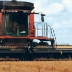 A bumper pulse crop in India has reduced the need for crops grown in Canada, which is expected to reduce acreage. | File photo