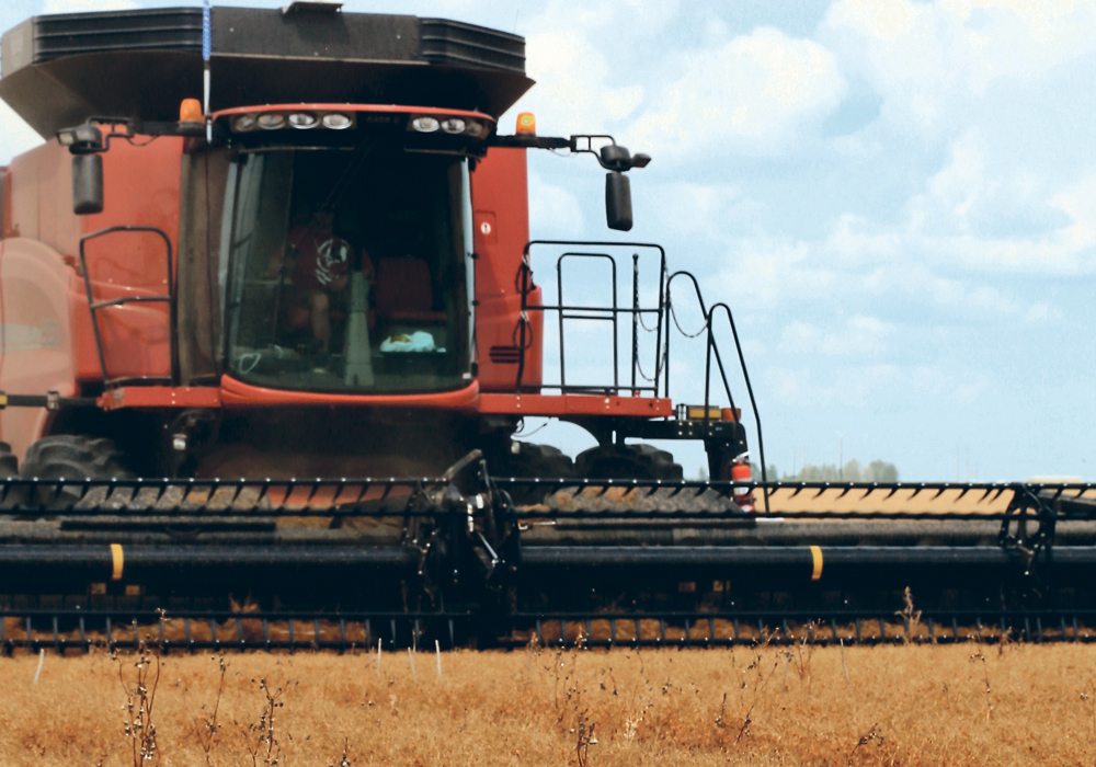 A bumper pulse crop in India has reduced the need for crops grown in Canada, which is expected to reduce acreage.  |  File photo