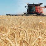 The American wheat industry worries that being on the outside of the Trans-Pacific Partnership trade deal would put it at a competitive disadvantage. | File photo