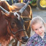 Four-year-old Harley Rummel of Bennett, Colorado, was a crowd pleaser with her Zebu steer shown at the National Western Stock Show in Denver Jan. 9. | Barbara Duckworth photo