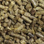 A worldwide shortage of vitamins A and E has boosted the cost of livestock feed supplements, forcing manufacturers to reduce the levels of those vitamins in feed formulations.
| File photo