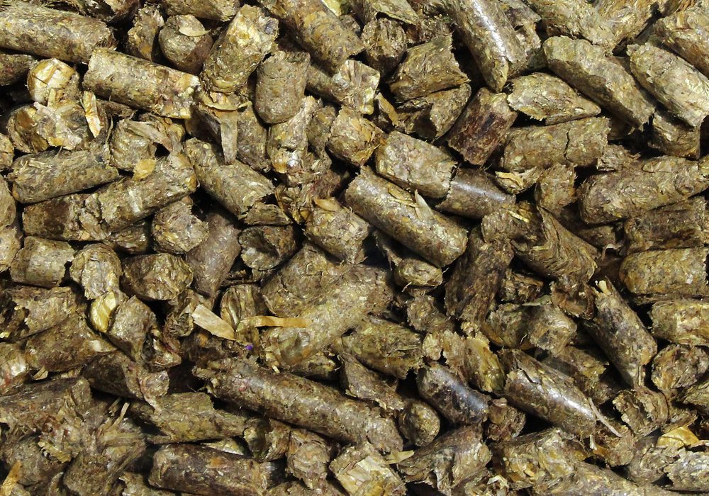 A worldwide shortage of vitamins A and E has boosted the cost of livestock feed supplements, forcing manufacturers to reduce the levels of those vitamins in feed formulations.  | File photo