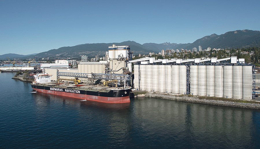 Canadian wheat should be in high demand this year because 2017 was an exceptional year for quality.  |  Richardson International Ltd. photo