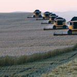 Russian wheat growers have harvested bumper crops recently, which has helped the country significantly increase its exports. Here, combines work on a wheat field of the Solgonskoye farming company near the village of Talniki in Siberia in 2015. | REUTERS/Ilya Naymushin photo