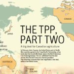 The federal government announced Jan. 23 that Canada had agreed to a revised version of the TPP. The deal is formally known as the Comprehensive Progressive Trans Pacific Partnership, a free trade pact with Japan and nine other Pacific nations. | Michelle Houlden graphic