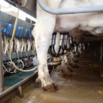 An agricultural economist at Laval University says he is troubled by the stagnation in supply management because he thinks there are obvious ways to improve the system. | File photo