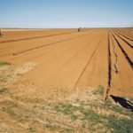 Irrigation is a major driver of agriculture in some parts of the Prairies, but Israel takes it to a different level. Here, an Israeli farmer walks in his field near the border with the southern Gaza Strip earlier this month. | File photo