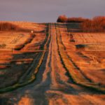 Demand is picking up as pulse crop producers in Western Canada look to sell what's left of last year's crop before spring road bans come into effect. | File photo
