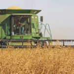 Ag Canada is expecting 371,000 acres, but a much higher estimate prompted users to stop contracting with processors. | File photo