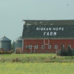 Western Canada’s canola growers insured 18.5 million acres of the 22.8 million acres that were planted last year, according to data provided by provincial crop insurance agencies.
That means 4.3 million acres were uninsured, or nearly 19 percent of the crop.
| File photo