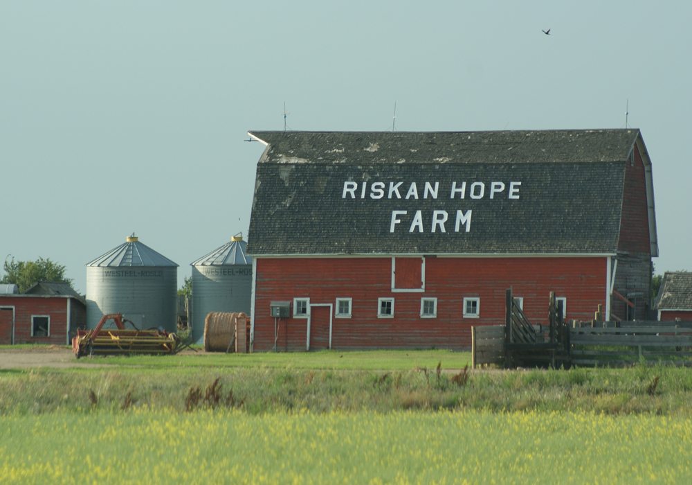 Western Canada’s canola growers insured 18.5 million acres of the 22.8 million acres that were planted last year, according to data provided by provincial crop insurance agencies.  That means 4.3 million acres were uninsured, or nearly 19 percent of the crop.  | File photo