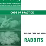 The Code of Practice for the Care and Handling of Rabbits was officially released Feb. 15 by the National Farm Animal Care Council and the Syndicat des producteurs de lapins du Quebec. | Screencap via www.nfacc.ca