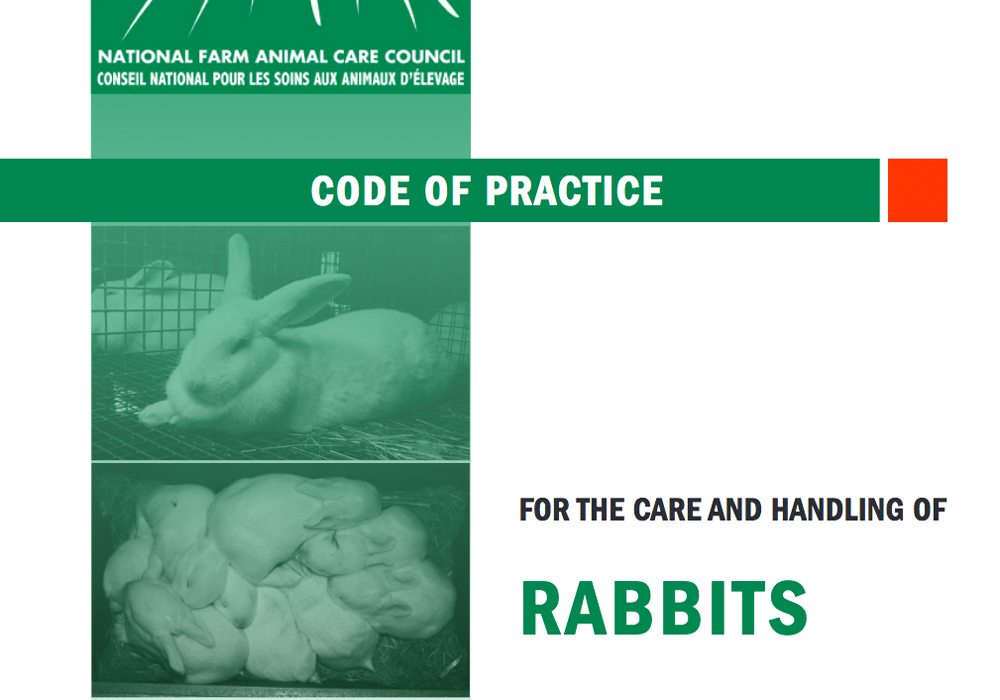 The Code of Practice for the Care and Handling of Rabbits was officially released Feb. 15 by the National Farm Animal Care Council and the Syndicat des producteurs de lapins du Quebec. | Screencap via www.nfacc.ca